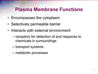 17
Plasma Membrane Functions
• Encompasses the cytoplasm
• Selectively permeable barrier
• Interacts with external environment
– receptors for detection of and response to
chemicals in surroundings
– transport systems
– metabolic processes
 