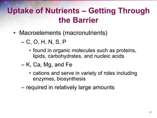 21
Uptake of Nutrients – Getting Through
the Barrier
• Macroelements (macronutrients)
– C, O, H, N, S, P
• found in organic molecules such as proteins,
lipids, carbohydrates, and nucleic acids
– K, Ca, Mg, and Fe
• cations and serve in variety of roles including
enzymes, biosynthesis
– required in relatively large amounts
 