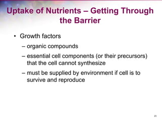 23
Uptake of Nutrients – Getting Through
the Barrier
• Growth factors
– organic compounds
– essential cell components (or their precursors)
that the cell cannot synthesize
– must be supplied by environment if cell is to
survive and reproduce
 