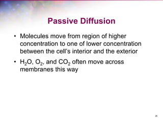 26
Passive Diffusion
• Molecules move from region of higher
concentration to one of lower concentration
between the cell’s interior and the exterior
• H2O, O2, and CO2 often move across
membranes this way
 