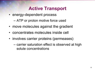 30
Active Transport
• energy-dependent process
– ATP or proton motive force used
• move molecules against the gradient
• concentrates molecules inside cell
• involves carrier proteins (permeases)
– carrier saturation effect is observed at high
solute concentrations
 