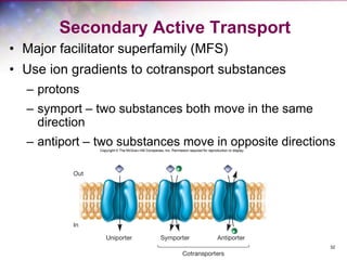 32
Secondary Active Transport
• Major facilitator superfamily (MFS)
• Use ion gradients to cotransport substances
– protons
– symport – two substances both move in the same
direction
– antiport – two substances move in opposite directions
 