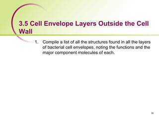 3.5 Cell Envelope Layers Outside the Cell
Wall
1. Compile a list of all the structures found in all the layers
of bacterial cell envelopes, noting the functions and the
major component molecules of each.
56
 