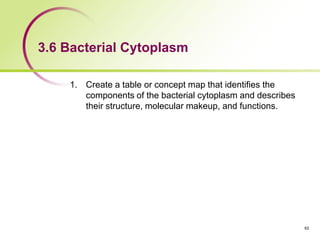 3.6 Bacterial Cytoplasm
1. Create a table or concept map that identifies the
components of the bacterial cytoplasm and describes
their structure, molecular makeup, and functions.
62
 