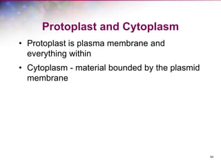 64
Protoplast and Cytoplasm
• Protoplast is plasma membrane and
everything within
• Cytoplasm - material bounded by the plasmid
membrane
 