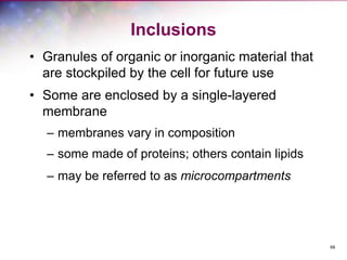 68
Inclusions
• Granules of organic or inorganic material that
are stockpiled by the cell for future use
• Some are enclosed by a single-layered
membrane
– membranes vary in composition
– some made of proteins; others contain lipids
– may be referred to as microcompartments
 