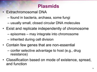 76
Plasmids
• Extrachromosomal DNA
– found in bacteria, archaea, some fungi
– usually small, closed circular DNA molecules
• Exist and replicate independently of chromosome
– episomes – may integrate into chromosome
– inherited during cell division
• Contain few genes that are non-essential
– confer selective advantage to host (e.g., drug
resistance)
• Classification based on mode of existence, spread,
and function
 