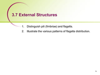 3.7 External Structures
1. Distinguish pili (fimbriae) and flagella.
2. Illustrate the various patterns of flagella distribution.
78
 
