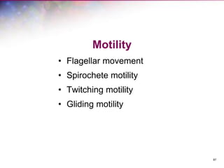 87
Motility
• Flagellar movement
• Spirochete motility
• Twitching motility
• Gliding motility
 