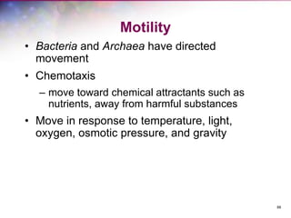 88
Motility
• Bacteria and Archaea have directed
movement
• Chemotaxis
– move toward chemical attractants such as
nutrients, away from harmful substances
• Move in response to temperature, light,
oxygen, osmotic pressure, and gravity
 