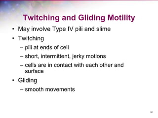 92
Twitching and Gliding Motility
• May involve Type IV pili and slime
• Twitching
– pili at ends of cell
– short, intermittent, jerky motions
– cells are in contact with each other and
surface
• Gliding
– smooth movements
 