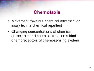 93
Chemotaxis
• Movement toward a chemical attractant or
away from a chemical repellent
• Changing concentrations of chemical
attractants and chemical repellents bind
chemoreceptors of chemosensing system
 