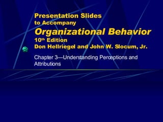Presentation Slides to Accompany Organizational Behavior   10 th  Edition Don Hellriegel and John W. Slocum, Jr. Chapter 3 —Understanding Perceptions and Attributions 