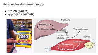 Polysaccharides store energy:
● starch (plants)
● glycogen (animals)
 