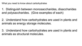 What you need to know about carbohydrates
1. Distinguish between monosaccharides, disaccharides
and polysaccharides. (Give examples of each)
2. Understand how carbohydrates are used in plants and
animals as energy storage molecules.
3. Understand how carbohydrates are used in plants and
animals as structural molecules.
 