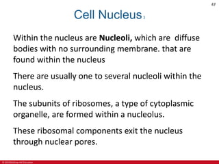 Ch03 lecture ppt_a | PPTX