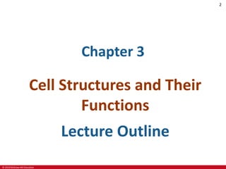 Ch03 lecture ppt_a | PPT