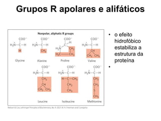 Grupos R apolares e alifáticos
• o efeito
hidrofóbico
estabiliza a
estrutura da
proteína
•
 