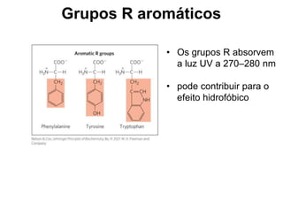 Grupos R aromáticos
• Os grupos R absorvem
a luz UV a 270–280 nm
• pode contribuir para o
efeito hidrofóbico
 