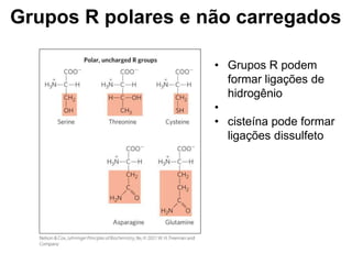 Grupos R polares e não carregados
• Grupos R podem
formar ligações de
hidrogênio
•
• cisteína pode formar
ligações dissulfeto
 