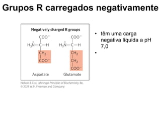 Grupos R carregados negativamente
• têm uma carga
negativa líquida a pH
7,0
•
 