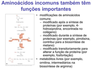 Aminoácidos incomuns também têm
funções importantes
• modificações de aminoácidos
comuns:
– modificado após a síntese de
proteínas (por exemplo, 4-
hidroxiprolina, encontrada no
colágeno)
– modificado durante a síntese de
proteínas (por exemplo, pirrolisina,
contribui para a biossíntese de
metano)
– modificado transitoriamente para
alterar a função da proteína (por
exemplo, fosforilação)
• metabólitos livres (por exemplo,
ornitina, intermediários na
biossíntese de arginina)
 
