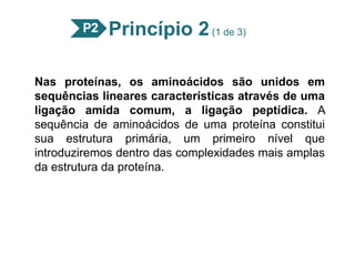 Princípio 2(1 de 3)
Nas proteínas, os aminoácidos são unidos em
sequências lineares características através de uma
ligação amida comum, a ligação peptídica. A
sequência de aminoácidos de uma proteína constitui
sua estrutura primária, um primeiro nível que
introduziremos dentro das complexidades mais amplas
da estrutura da proteína.
 