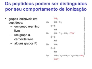 Os peptídeos podem ser distinguidos
por seu comportamento de ionização
• grupos ionizáveis em
peptídeos:
– um grupo α-amino
livre
– um grupo α-
carboxila livre
– alguns grupos R
 