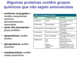Algumas proteínas contêm grupos
químicos que não sejam aminoácidos
• proteínas conjugadas =
contêm componentes
químicos
permanentemente
associados
• parte não-aminoácida =
grupo protético
• lipoproteínas contêm
lipídios
• glicoproteínas contêm
açúcares
• metaloproteínas contêm
metais específicos
Table 3-4 Conjugated Proteins
Class Prosthetic group Example
Lipoproteins Lipids β1-Lipoprotein of blood
(Fig. 17-2)
Glycoproteins Carbohydrates Immunoglobulin G
(Fig. 5-20)
Phosphoproteins Phosphate groups Glycogen phosphorylase
(Fig. 6-39)
Hemoproteins Heme (iron porphyrin) Hemoglobin
(Figs 5-8 to 5-11)
Flavoproteins Flavin nucleotides Succinate dehydrogenase
(Fig. 19-9)
Metallproteins Iron
Zinc
Calcium
Molybdenum
Copper
Ferritin (Box 16-1)
Alcohol dehrogenase
(Fig. 14-12)
Calmodulin (Fig. 12-17)
Dinitrogenase (Fig. 22-3)
Complex IV (Fig. 19-12)
 