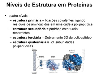 Níveis de Estrutura em Proteínas
• quatro níveis:
– estrutura primária = ligações covalentes ligando
resíduos de aminoácidos em uma cadeia polipeptídica
– estrutura secundária = padrões estruturais
recorrentes
– estrutura terciária = Dobramento 3D de polipeptídeo
– estrutura quaternária = 2+ subunidades
polipeptídicas
 