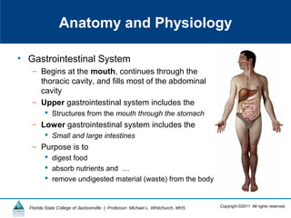 Copyright ©2011 All rights reserved.Florida State College of Jacksonville | Professor: Michael L. Whitchurch, MHS
Anatomy and Physiology
• Gastrointestinal System
– Begins at the mouth, continues through the
thoracic cavity, and fills most of the abdominal
cavity
– Upper gastrointestinal system includes the
 Structures from the mouth through the stomach
– Lower gastrointestinal system includes the
 Small and large intestines
– Purpose is to
 digest food
 absorb nutrients and …
 remove undigested material (waste) from the body
 