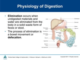 Copyright ©2011 All rights reserved.Florida State College of Jacksonville | Professor: Michael L. Whitchurch, MHS
• Elimination occurs when
undigested materials and
water are eliminated from the
body in a solid waste form of
feces or stool.
• The process of elimination is
a bowel movement or
defecation.
Physiology of Digestion
 