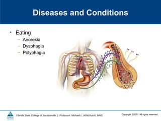 Copyright ©2011 All rights reserved.Florida State College of Jacksonville | Professor: Michael L. Whitchurch, MHS
Diseases and Conditions
• Eating
– Anorexia
– Dysphagia
– Polyphagia
 