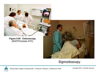 Copyright ©2011 All rights reserved.Florida State College of Jacksonville | Professor: Michael L. Whitchurch, MHS
Figure 3-29 Colonoscopy
(BSIP/Phototake NYC)
Sigmoidoscopy
 