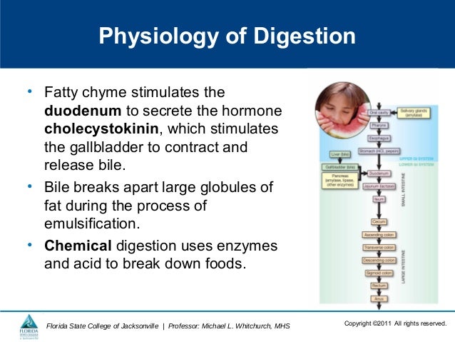 Belly fat burning food picture 7
