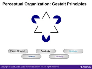 Psychology Chapter 3 Introduction | PPT