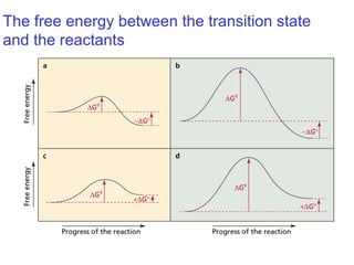 The free energy between the transition state
and the reactants
 