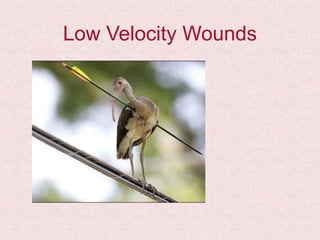 Low Velocity Wounds
 