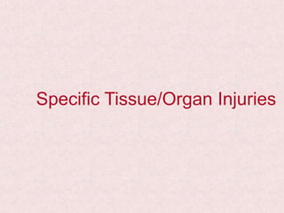 Specific Tissue/Organ Injuries
 