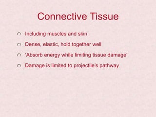 Connective Tissue
Including muscles and skin
Dense, elastic, hold together well
‘Absorb energy while limiting tissue damage’
Damage is limited to projectile’s pathway
 