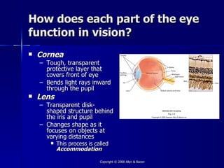 How does each part of the eye
function in vision?
   Cornea
    – Tough, transparent
      protective layer that
      covers front of eye
    – Bends light rays inward
      through the pupil
   Lens
    – Transparent disk-
      shaped structure behind
      the iris and pupil
    – Changes shape as it
      focuses on objects at
      varying distances
          This process is called
           Accommodation

                             Copyright © 2008 Allyn & Bacon
 