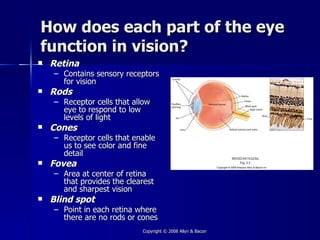 How does each part of the eye
function in vision?
   Retina
    – Contains sensory receptors
      for vision
   Rods
    – Receptor cells that allow
      eye to respond to low
      levels of light
   Cones
    – Receptor cells that enable
      us to see color and fine
      detail
   Fovea
    – Area at center of retina
      that provides the clearest
      and sharpest vision
   Blind spot
    – Point in each retina where
      there are no rods or cones
                            Copyright © 2008 Allyn & Bacon
 