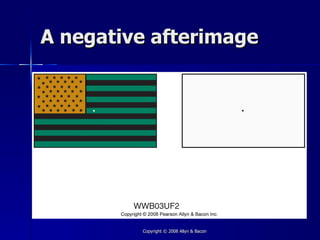 A negative afterimage




         Copyright © 2008 Allyn & Bacon
 
