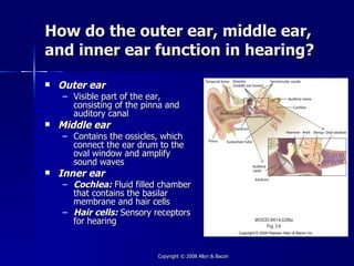 How do the outer ear, middle ear,
and inner ear function in hearing?

   Outer ear
    – Visible part of the ear,
      consisting of the pinna and
      auditory canal
   Middle ear
    – Contains the ossicles, which
      connect the ear drum to the
      oval window and amplify
      sound waves
   Inner ear
    – Cochlea: Fluid filled chamber
      that contains the basilar
      membrane and hair cells
    – Hair cells: Sensory receptors
      for hearing


                           Copyright © 2008 Allyn & Bacon
 