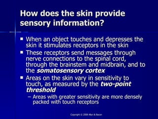 How does the skin provide
sensory information?
   When an object touches and depresses the
    skin it stimulates receptors in the skin
   These receptors send messages through
    nerve connections to the spinal cord,
    through the brainstem and midbrain, and to
    the somatosensory cortex
   Areas on the skin vary in sensitivity to
    touch, as measured by the two-point
    threshold
    – Areas with greater sensitivity are more densely
      packed with touch receptors

                      Copyright © 2008 Allyn & Bacon
 