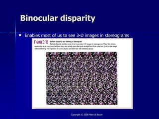 Binocular disparity
   Enables most of us to see 3-D images in stereograms




                          Copyright © 2008 Allyn & Bacon
 
