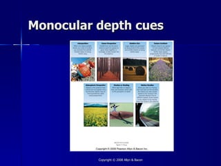 Monocular depth cues




          Copyright © 2008 Allyn & Bacon
 