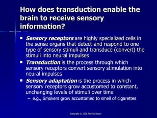 How does transduction enable the
brain to receive sensory
information?
   Sensory receptors are highly specialized cells in
    the sense organs that detect and respond to one
    type of sensory stimuli and transduce (convert) the
    stimuli into neural impulses
   Transduction is the process through which
    sensory receptors convert sensory stimulation into
    neural impulses
   Sensory adaptation is the process in which
    sensory receptors grow accustomed to constant,
    unchanging levels of stimuli over time
    – e.g., Smokers grow accustomed to smell of cigarettes


                         Copyright © 2008 Allyn & Bacon
 
