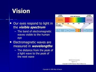 Vision
   Our eyes respond to light in
    the visible spectrum
    – The band of electromagnetic
      waves visible to the human
      eye
   Electromagnetic waves are
    measured in wavelengths
    – The distance from the peak of
      a light wave to the peak of
      the next wave



                          Copyright © 2008 Allyn & Bacon
 