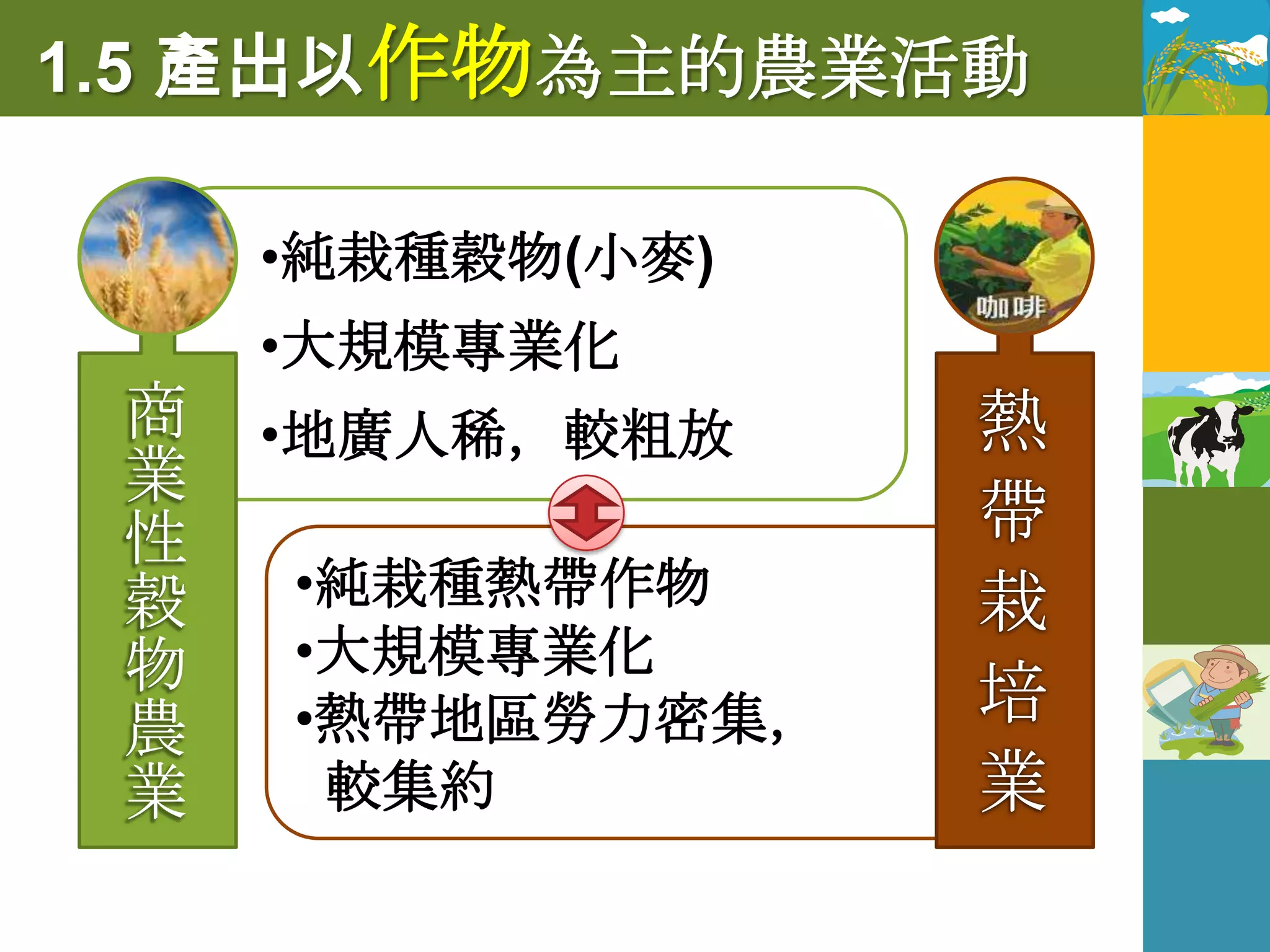 1.5 產出以作物為主的農業活動

   •純栽種穀物(小麥)
   •大規模專業化
   •地廣人稀，較粗放

    •純栽種熱帶作物
    •大規模專業化
    •熱帶地區勞力密集，
     較集約
 
